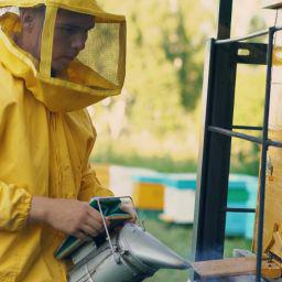 Exploring the Crucial Role of Bees and Beekeepers in Global Food Production