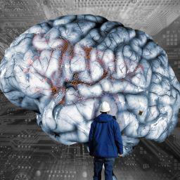 Exploring AI's Future: Programmable Armies, Hive Minds, & Brain Implants