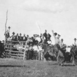 Exploring the Legacy of the Wood Mountain, Sask. Stampede: Canada's Oldest Rodeo