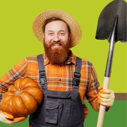 Oh My Gourd! Know What's Below Before Digging this Autumn