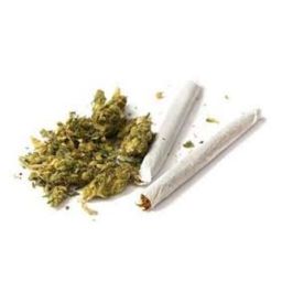 Breaking on BEK: New Effort to Legalize Recreational Cannabis in North Dakota