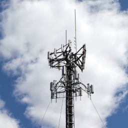 5G, EMFs, and Microchip Technology: A Deep Dive with Dr. Robert Young