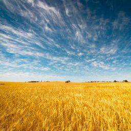 ND Ag Commissioner Doug Goehring Discusses the State's Biggest Industry