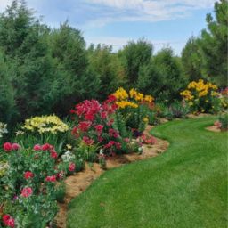Hidden Stories Among Us: Where Flowers, Wildlife, and Community Come Together