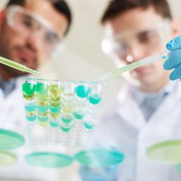 Karen Kingsbury New Movie &  Alabama Supreme Court Rules IVF Embryos are Persons