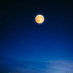 Andrew's Antarctic Ice Video Goes Viral, Fatty Foods in Cancer Fight, Beaver Moon, EV Costs