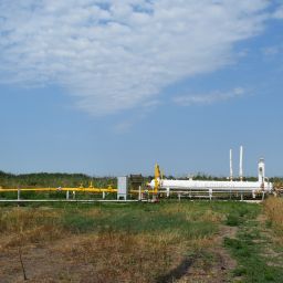 Market Updates, Congressional Bids, and Oilfield Stories