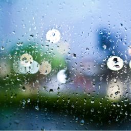  UK Weather, Travel Safety Abroad, CO2 as Plant Food, and Geopolitical Aid Passages
