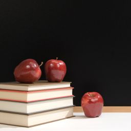 Trump Vows To Reform Failing School System