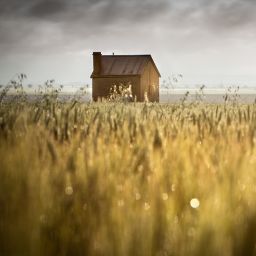 Life on the Prairie Returns: Step Into History at Lawrence Welk Homestead